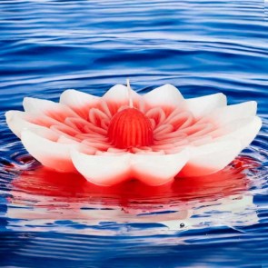 Velas