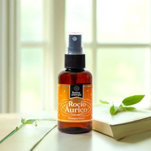 Rocío Áurico Aromanza