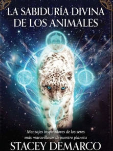 Cartas de Tarot