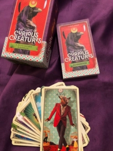 Cartas de Tarot